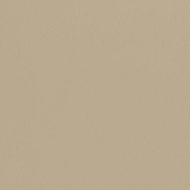Licht beige - Leer look - Sample