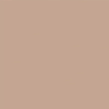 Light Taupe - PM6148 - Durasein - Sample